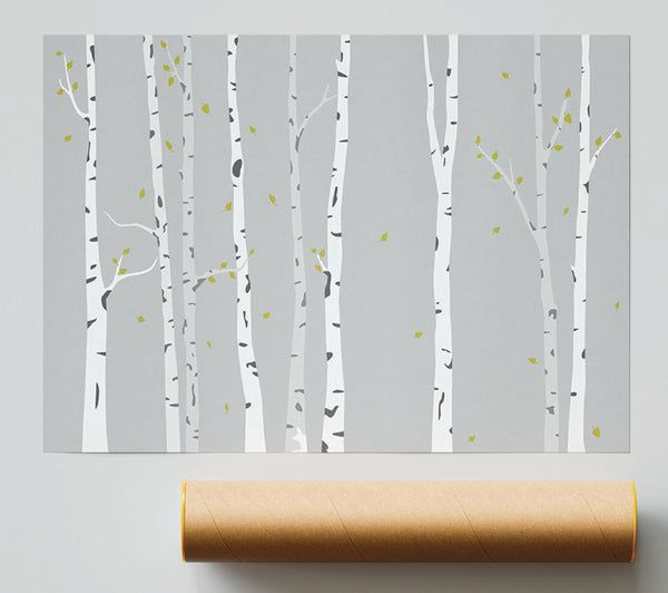 Birch Trees On Grey Giclee Print