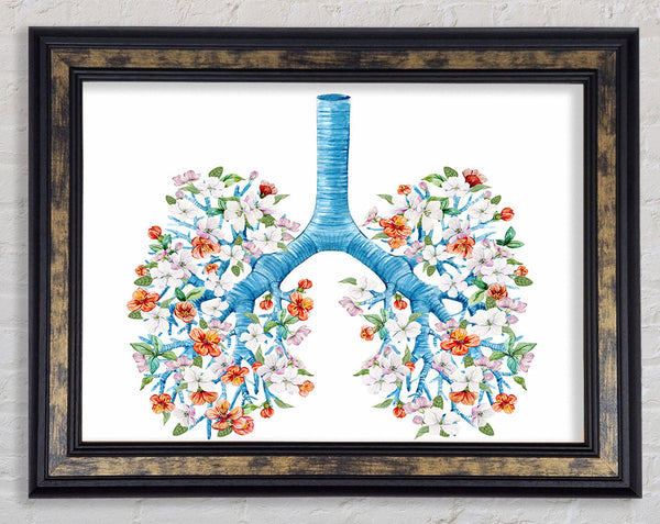 Tree Blossom Lungs Framed Print