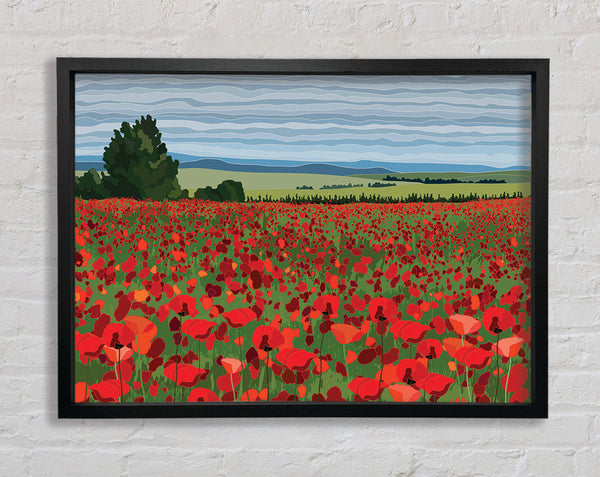 Rote Mohnblumen auf dem Feld