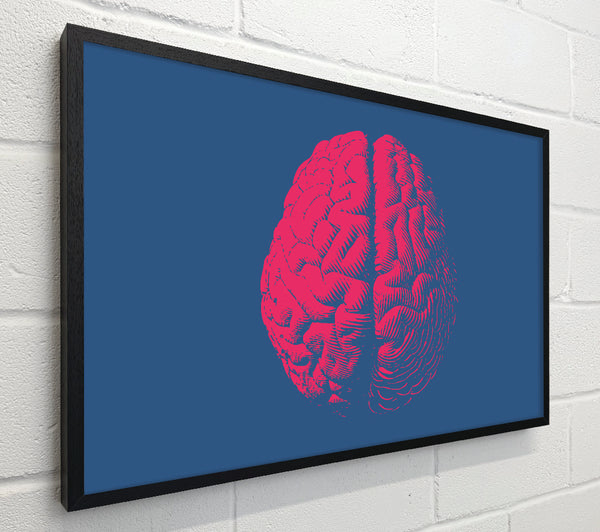 The Red Brain