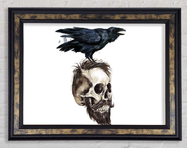 Crow On The Head Of A Skull