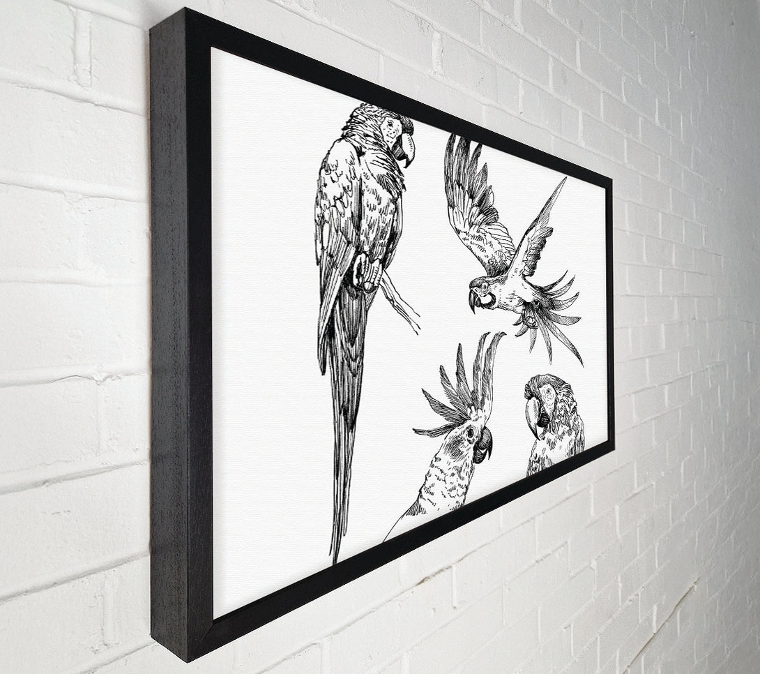  A Canvas Print of Parrots In Flight Illustration Canvas Wall Art