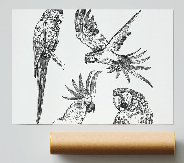 Parrots In Flight Illustration Print