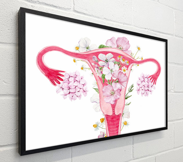 Floral Female Anatomy