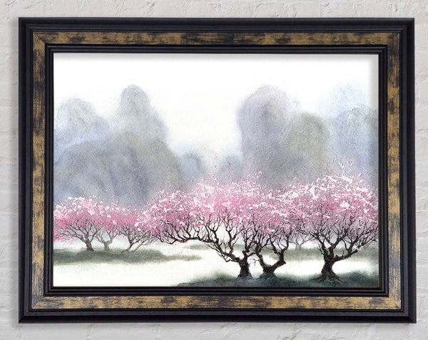 Pink Blossom Dusk Framed Print
