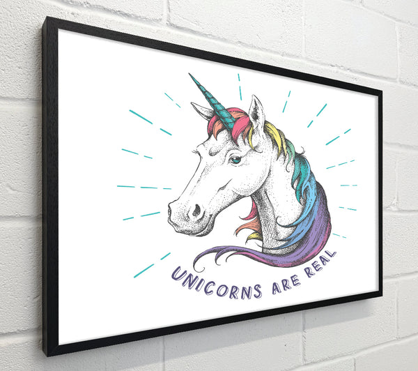 Unicorns Are Real