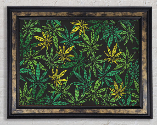 Cannabis Leaves Framed Print