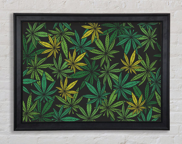 Cannabisblätter