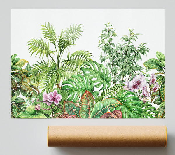 Summer Foliage Print