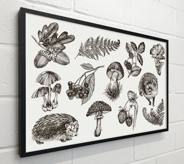 British Flowers And Wildlife
