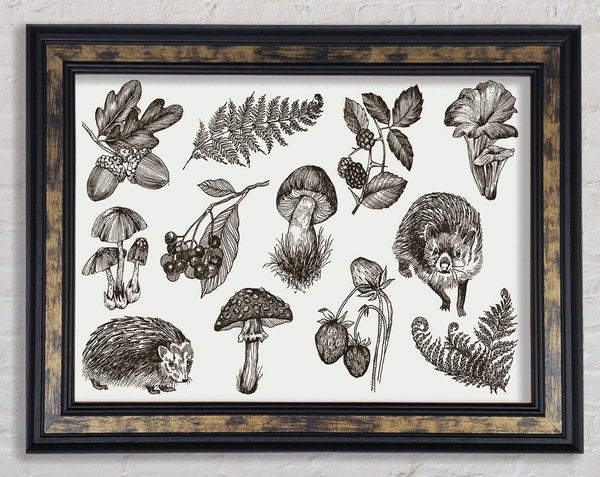 British Flowers And Wildlife Framed Print