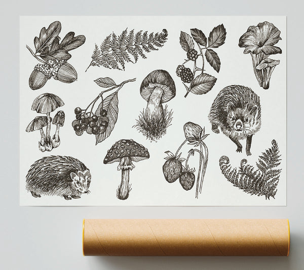 British Flowers And Wildlife Print