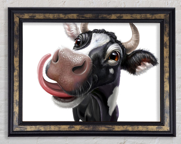 The Big Cow Lick