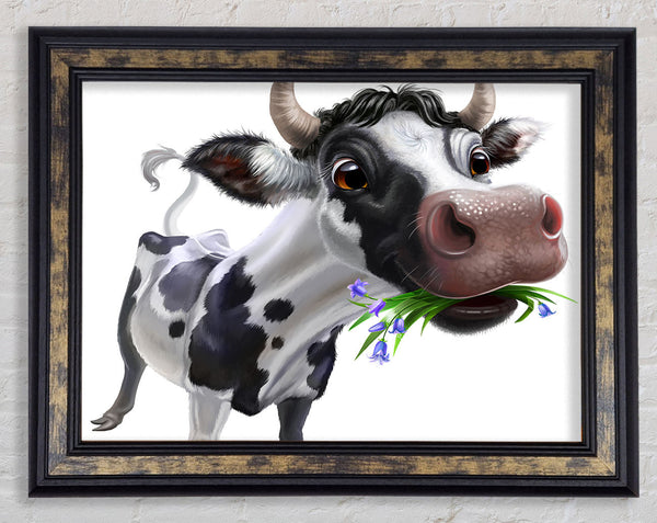 The Big Cow Munch