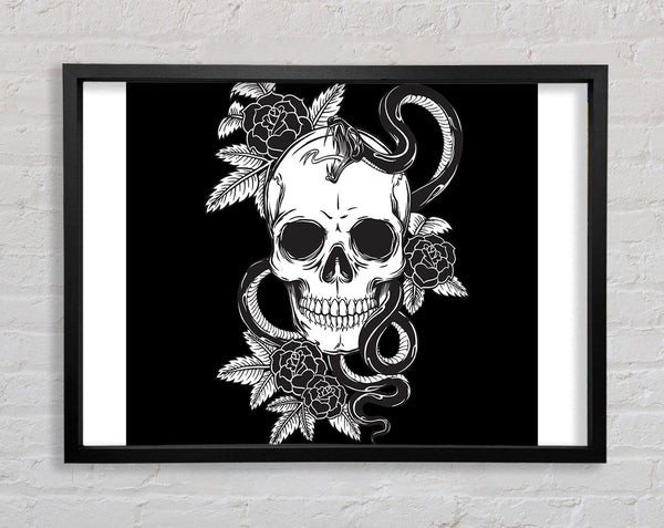 Totenkopf, Schlange, Und, Blumen