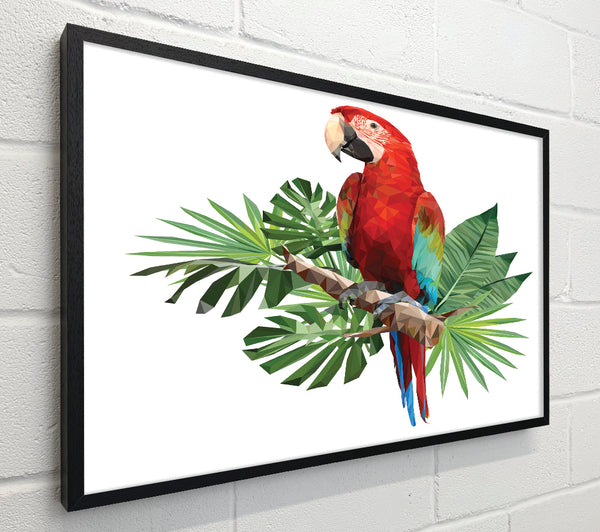 Parrot On A Branch