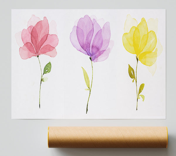 Trio Of Pastel Flowers Print