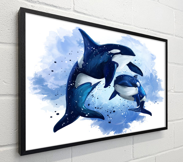 Orca Mother And Baby