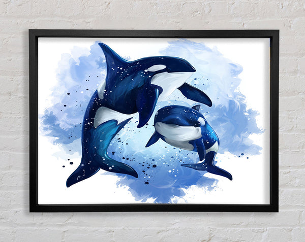Orca-Mutter und Baby