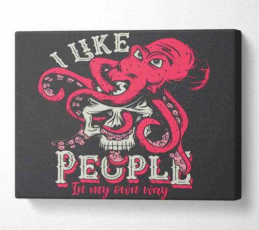 I Like People In My Own Way Canvas Wall Art