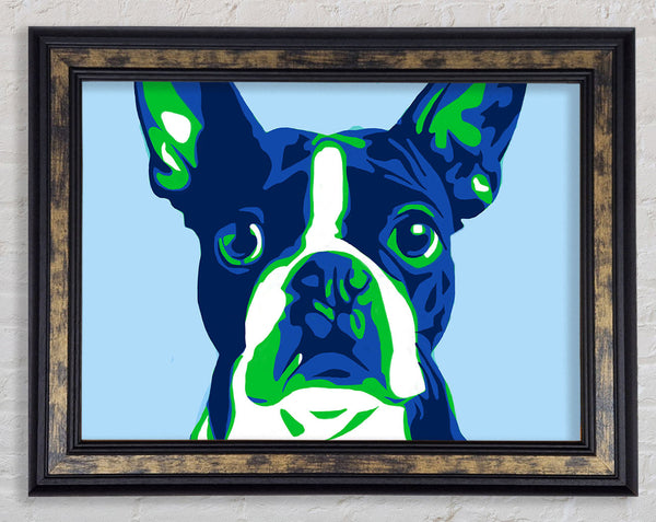 The French Bulldog Pop Art Framed Print