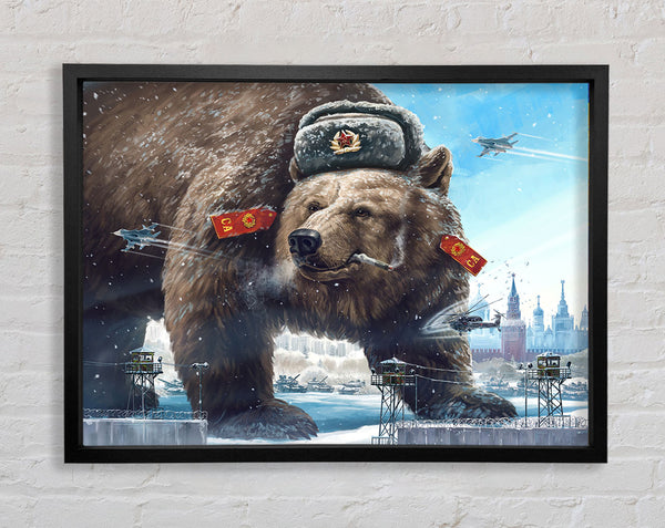 Russischer Braunbär
