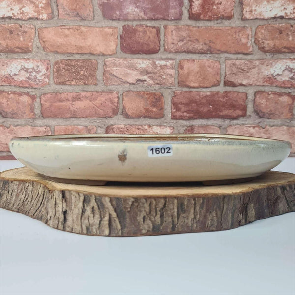 31cm Glazed Bonsai Pot | Oval | 31cm x 22cm x 4.5cm | White