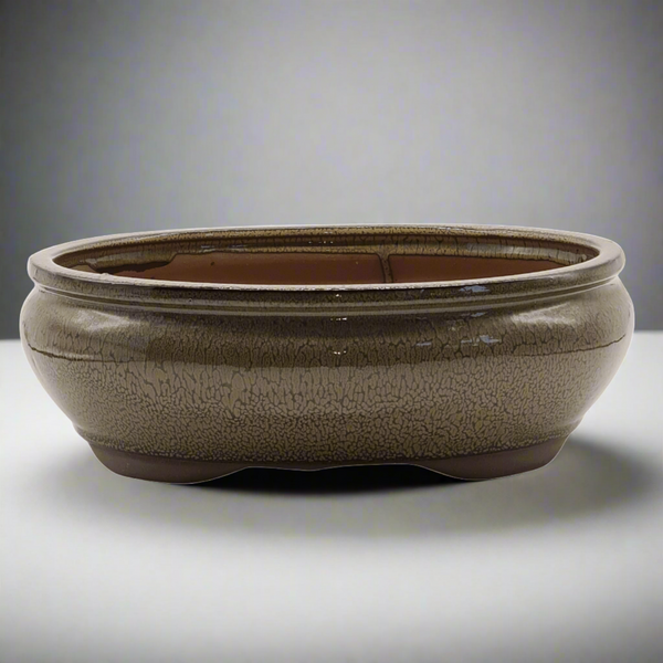 31cm Glazed Bonsai Pot | Oval | 31cm x 25cm x 11cm | Green