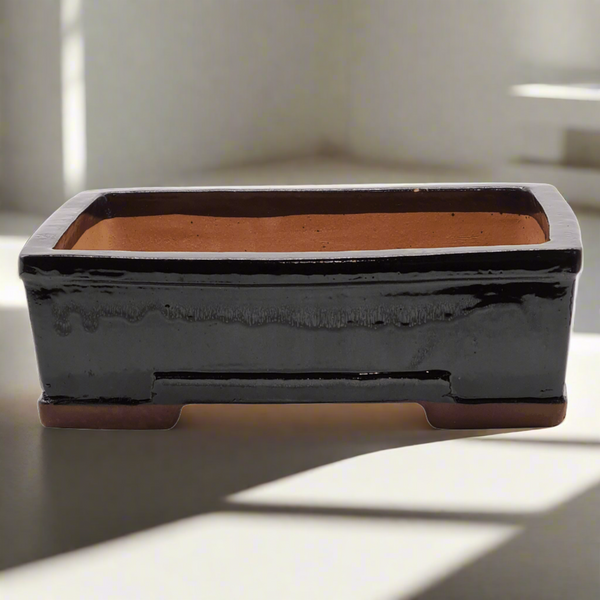 31cm Glazed Bonsai Pot | Rectangle | 31cm x 25cm x 10cm | Black