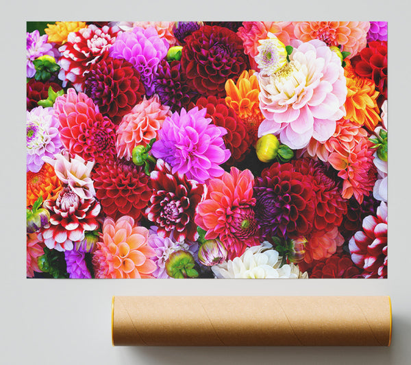Huge Flower Explosion Poster