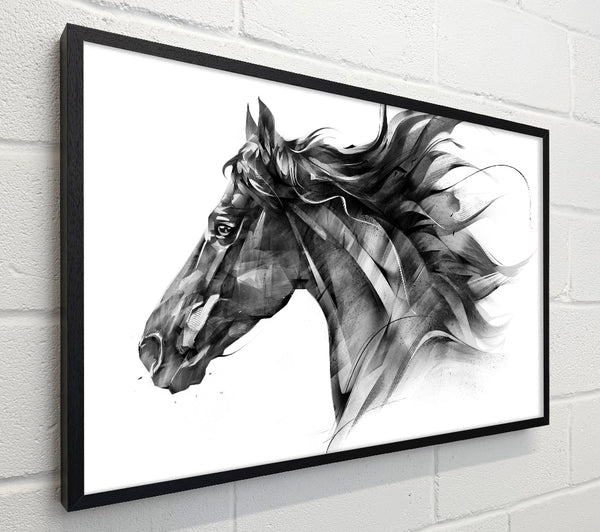 Horse Galloping Head