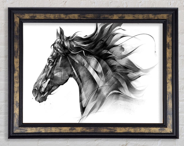 Horse Galloping Head Framed Print