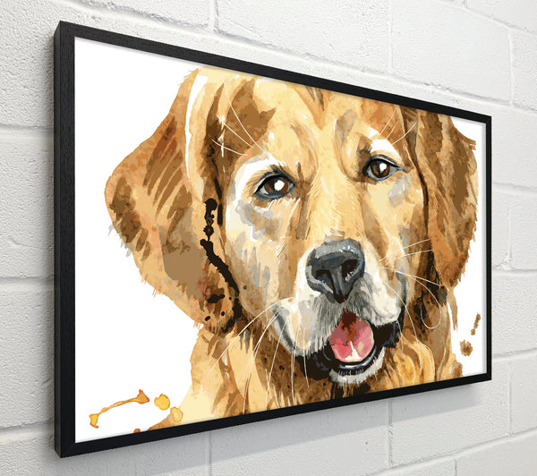 Labrador Happiness