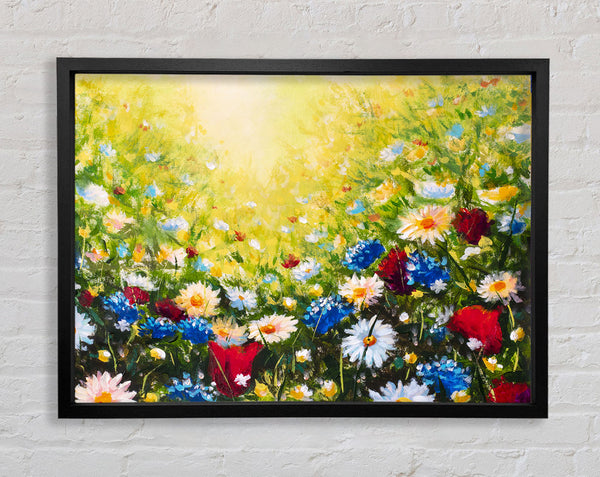 Das Blumenspektrum des Sommers