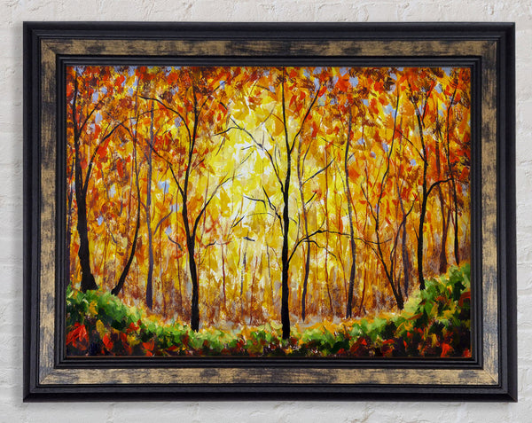 Summertime Forest Framed Print