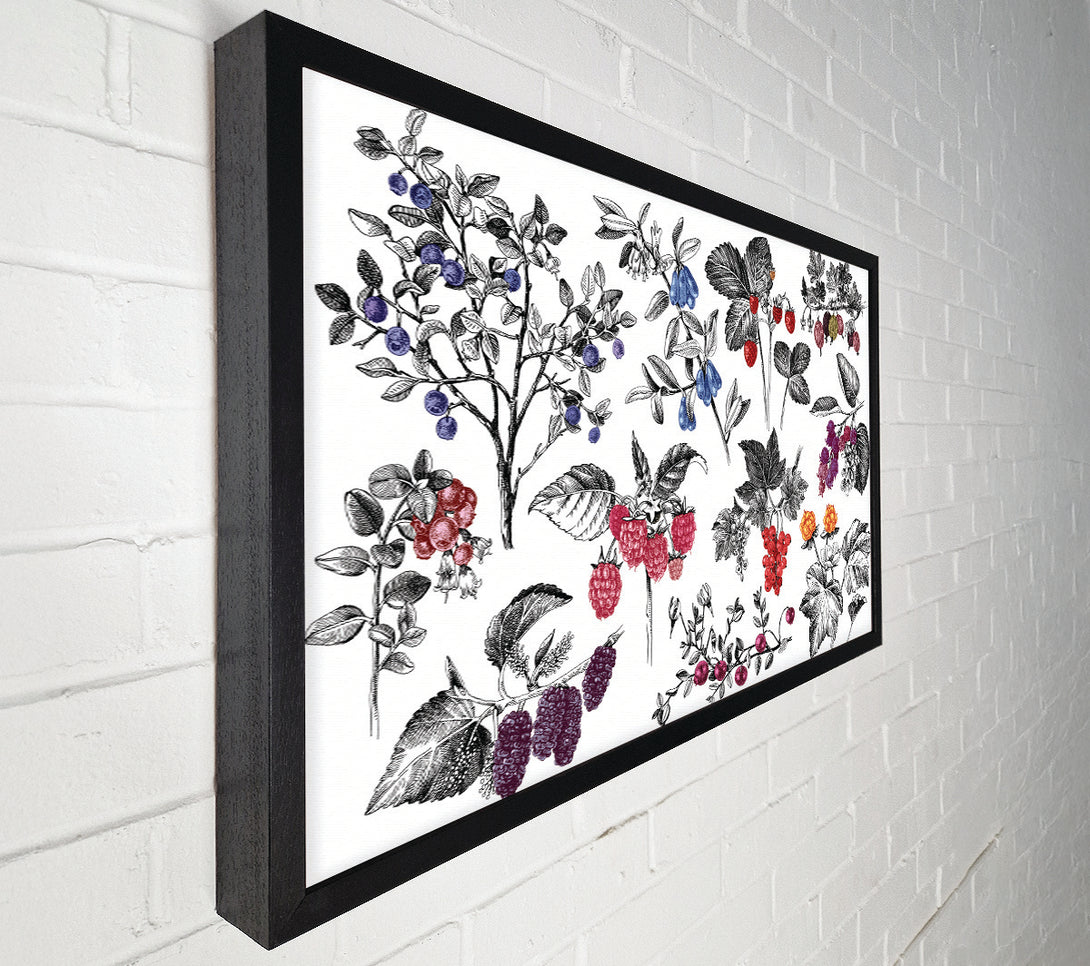  A Canvas Print of Collage Of Flowers And Berries Canvas Wall Art