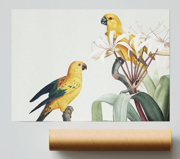 Two Yellow Parrots Print