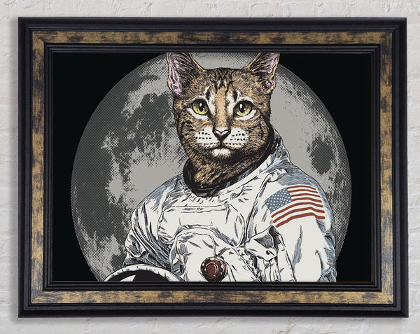 Cat Astronaut