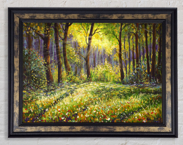 Sunshine Through The Woodlands Framed Print