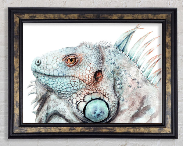 Iguana Stare Framed Print