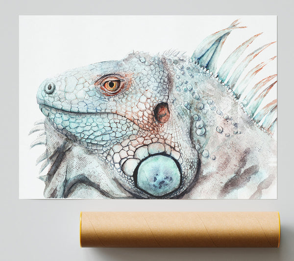 Iguana Stare Print