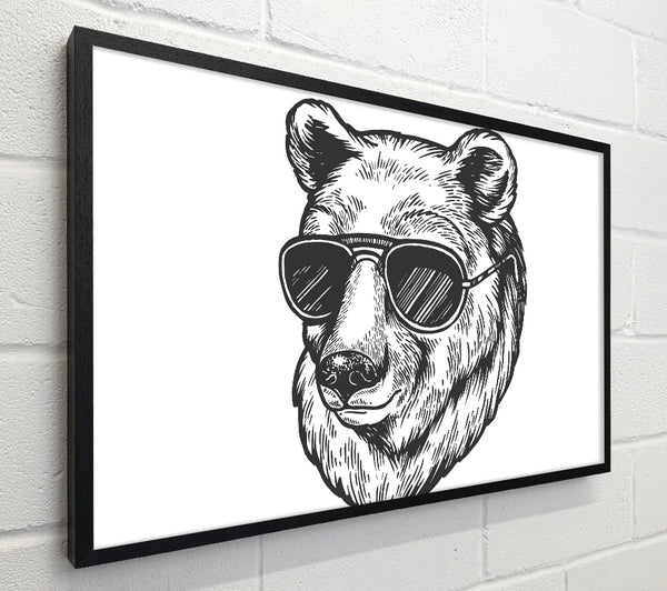 Bear Sunglasses Chill
