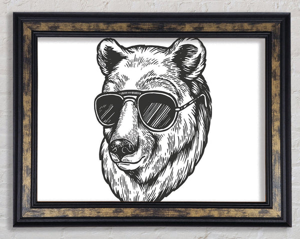 Bear Sunglasses Chill Framed Print