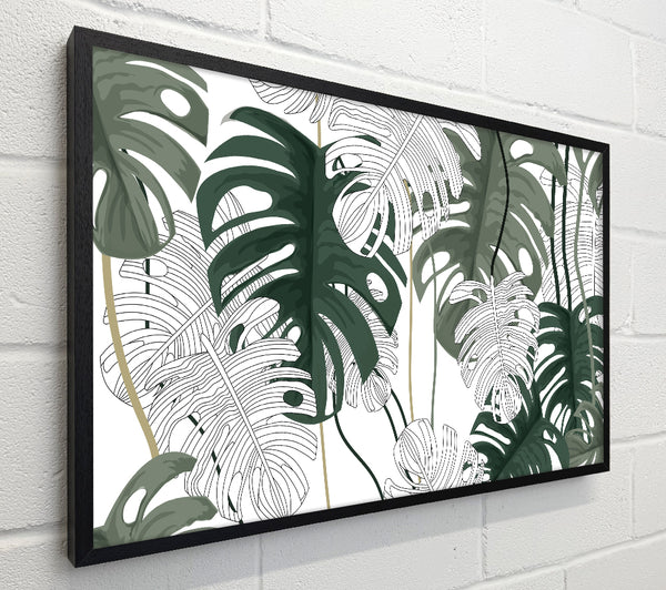 Cheese Plant Leaves