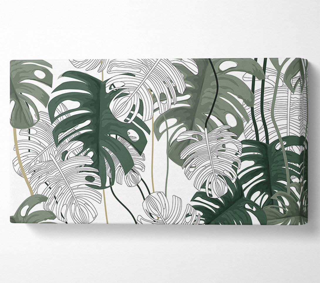  A Canvas Print of Cheese Plant Leaves Canvas Wall Art