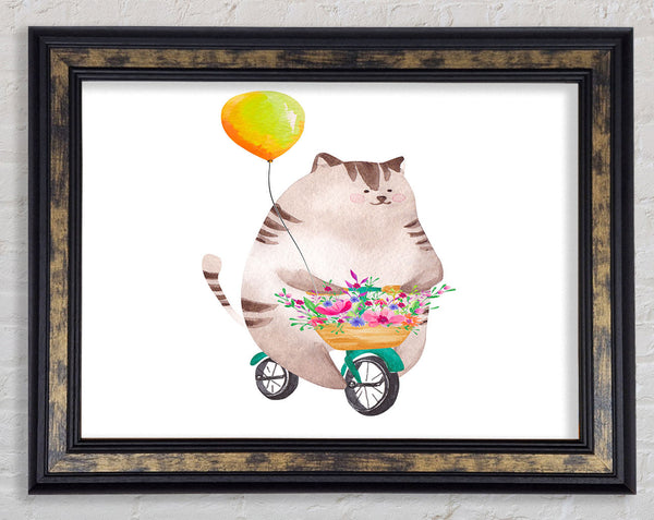 Cat Riding A Bike
