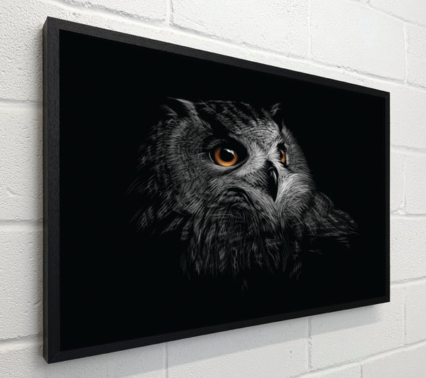 Owl In The Dark Of Night