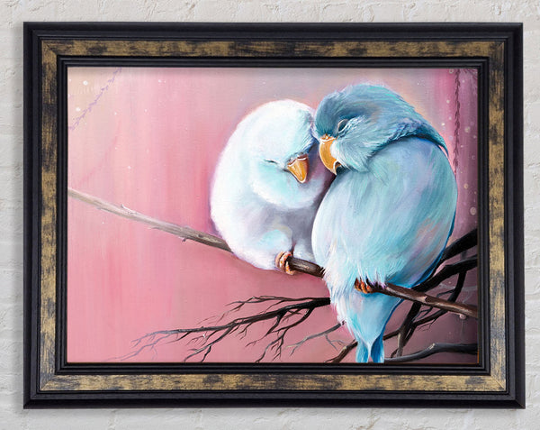 Two Love Birds On A Branch Framed Print