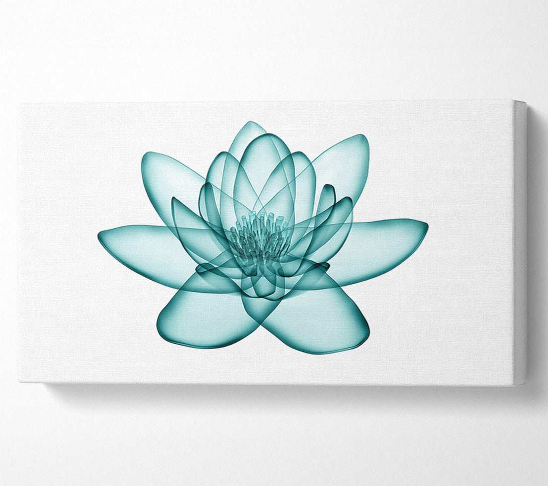  A Canvas Print of Transparent Green Leaves Canvas Print