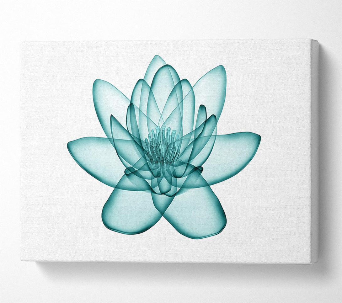  A Canvas Print of Transparent Green Leaves Canvas Print